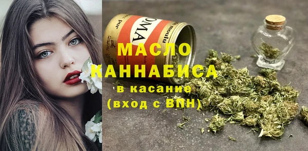 индика Медногорск