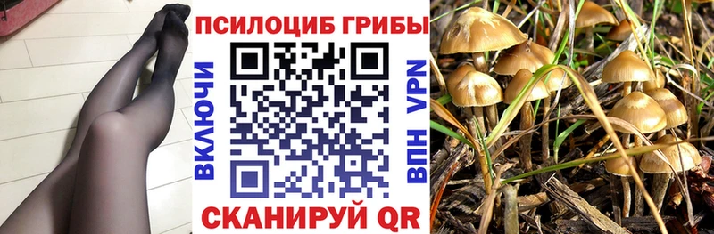 Галлюциногенные грибы GOLDEN TEACHER  Черняховск 
